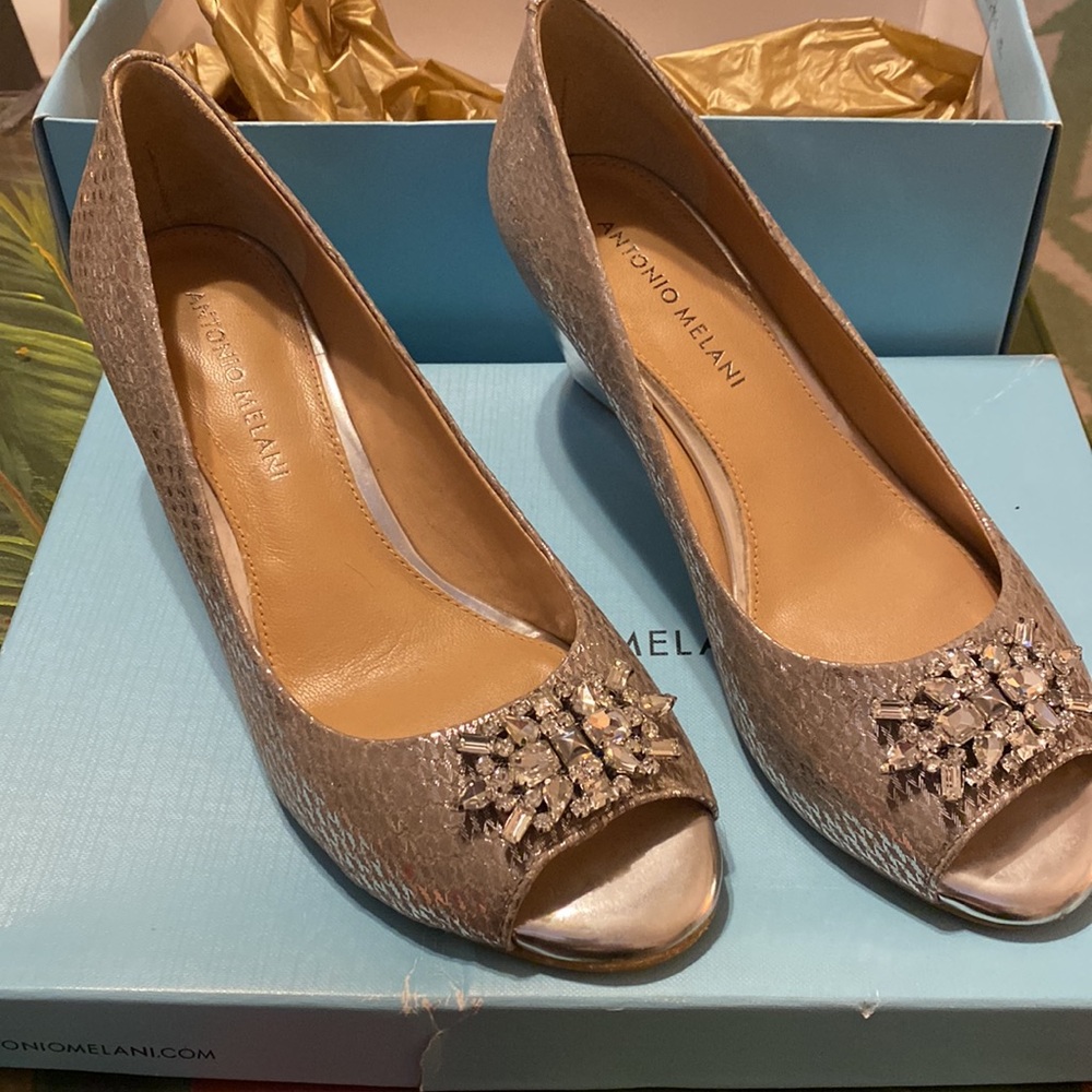 Essie Silver Pumps Antonio Melani